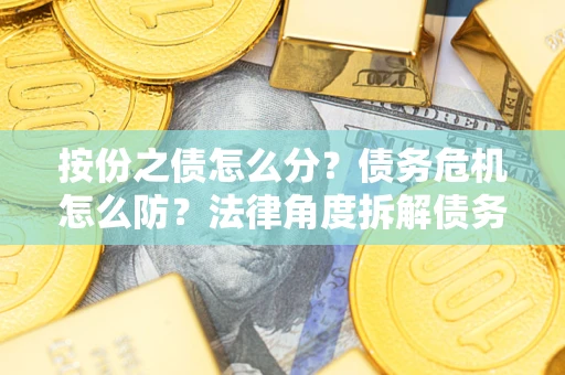 武汉按份之债怎么分？债务危机怎么防？法律角度拆解债务分配与风险自保指南