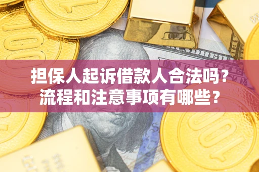 武汉担保人起诉借款人合法吗？流程和注意事项有哪些？