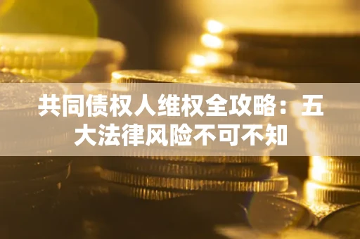 武汉共同债权人维权全攻略：五大法律风险不可不知