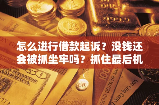 武汉怎么进行借款起诉？没钱还会被抓坐牢吗？抓住最后机会！