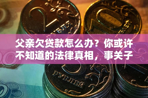 武汉父亲欠贷款怎么办？你或许不知道的法律真相，事关子女未来