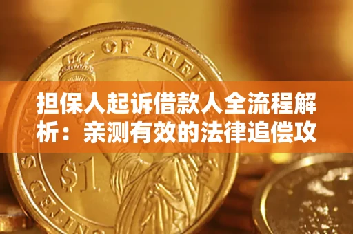 武汉担保人起诉借款人全流程解析：亲测有效的法律追偿攻略