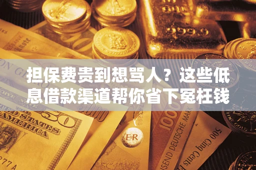 武汉担保费贵到想骂人？这些低息借款渠道帮你省下冤枉钱