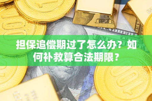 武汉担保追偿期过了怎么办？如何补救算合法期限？