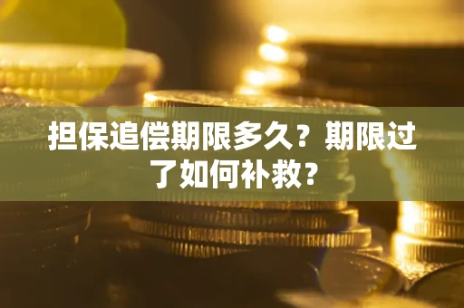 武汉担保追偿期限多久？期限过了如何补救？