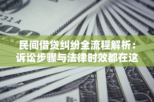 武汉民间借贷纠纷全流程解析：诉讼步骤与法律时效都在这儿了