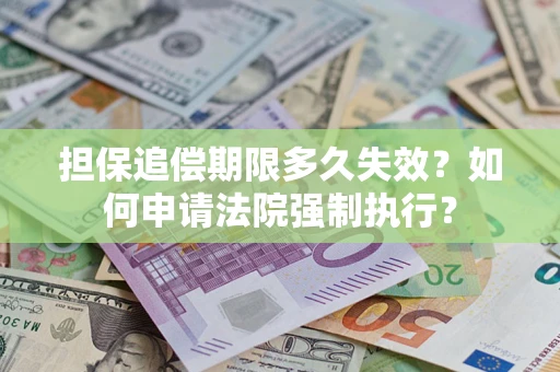 武汉担保追偿期限多久失效？如何申请法院强制执行？