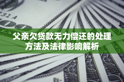 武汉父亲欠贷款无力偿还的处理方法及法律影响解析