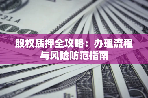 武汉股权质押全攻略：办理流程与风险防范指南